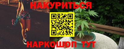 гашик Волгодонск
