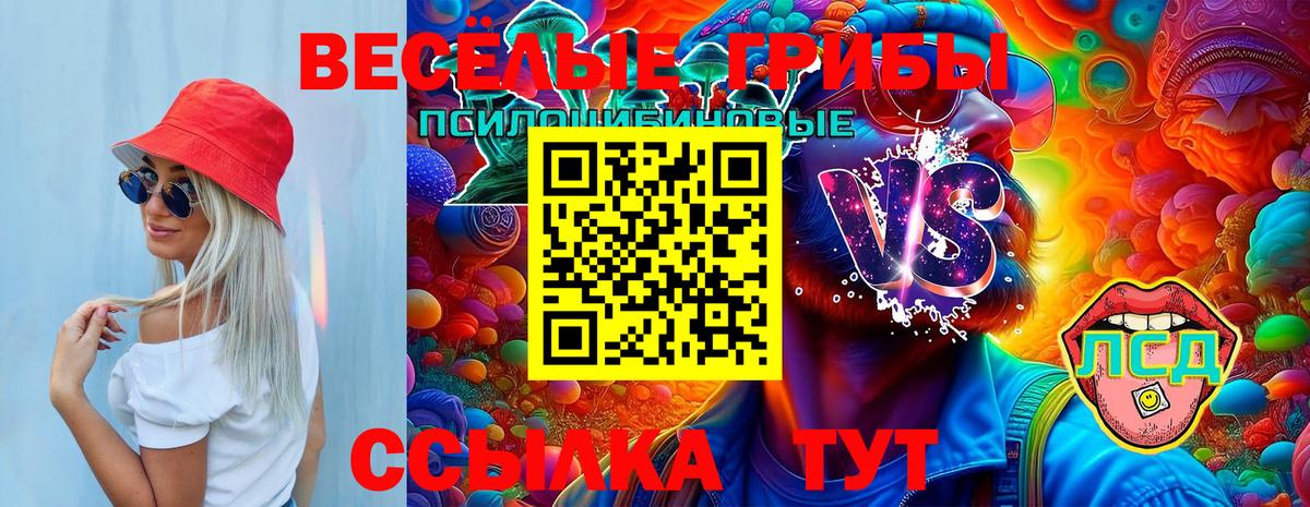 Малоярославец  Галлюциногенные грибы мицелий  Вход с VPN 